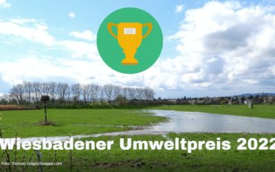 Bewerbung Wiesbadener Umweltpreis 2022