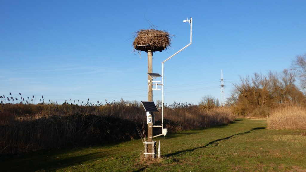Kamera am Horst 3 auf dem Wasserwerkgelände